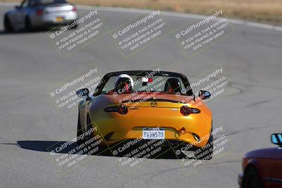 media/Nov-19-2023-Extreme Speed (Sun) [[bd0eec5490]]/Purple/Back Shots/